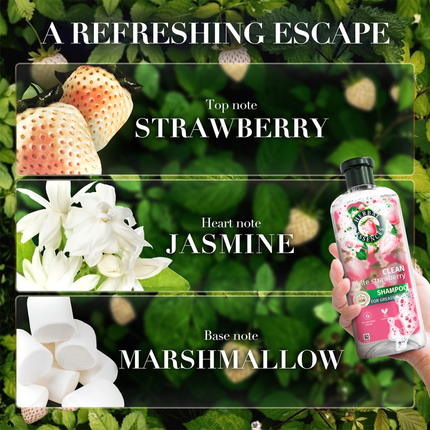 Strawberry & Mint Shampoo 600ML image