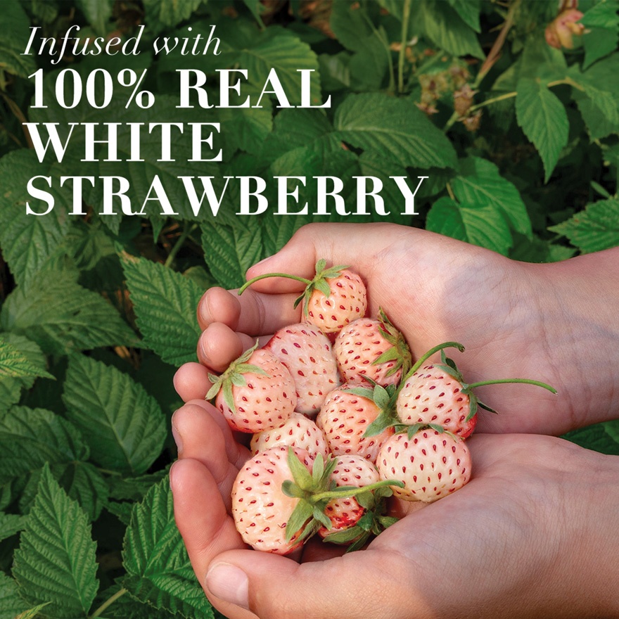 Strawberry & Mint Shampoo 600ML image