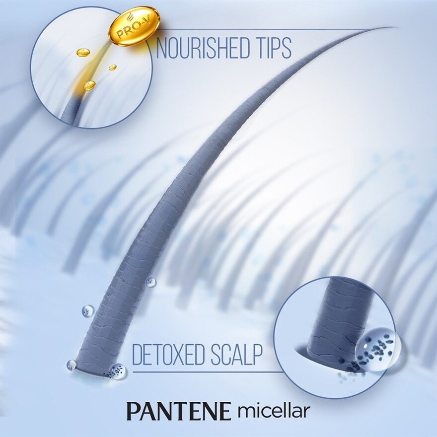 Pantene Conditioner Micellar Moist 300ml