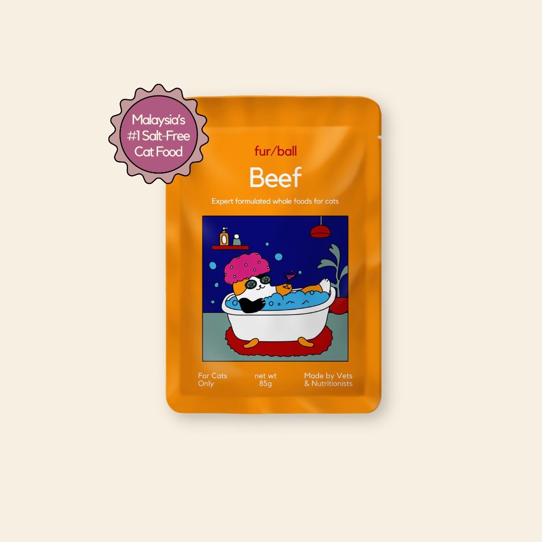 Wet To Topper Bundle image