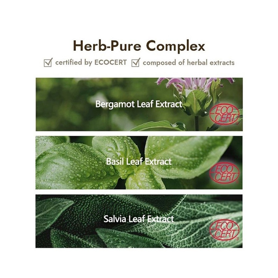 Showermate Goat Milk Body Wash - Manuka Honey (800ml)