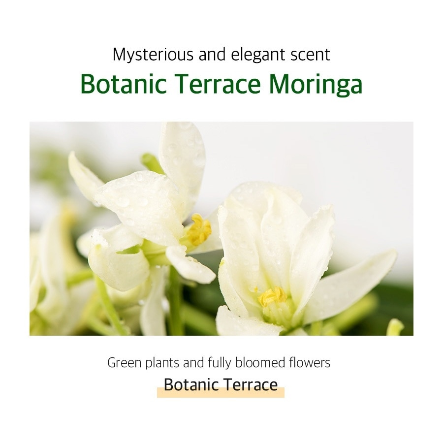 Kerasys Showermate Botanic Body Wash - Moringa (1200ml)