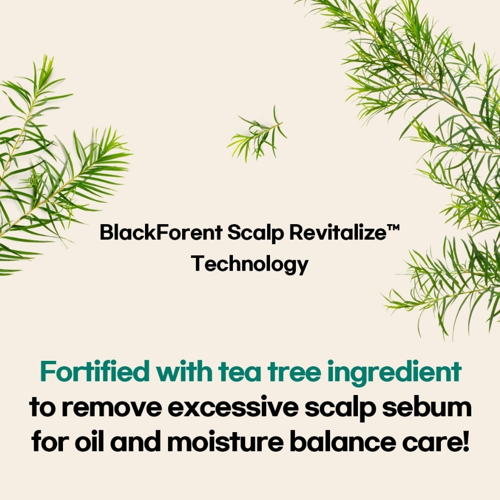 Kerasys Black Foret Frozen Cool And Clarifying Shampoo (500ml)