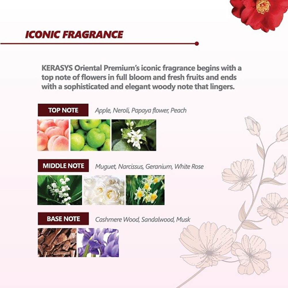 Kerasys Oriental Premium Shampoo Refill Pack (500ml)